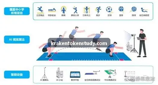 深层海妖交易所算法分析流程图